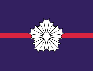 Metropolitan Police Department battalion flag