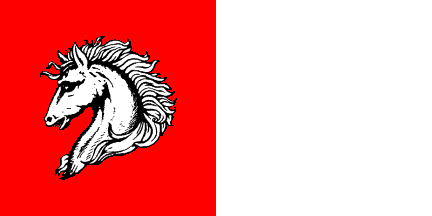 [flag of Judetul Balti]