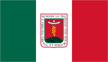 Morelos unofficial tricolor flag