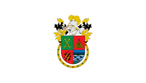De facto flag of San Pedro Cholua
