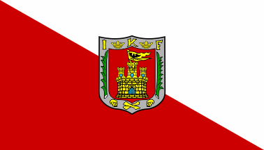 Variant of the State of Tlaxcala flag