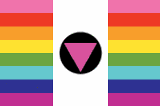 [Rainbow (Arcoiris) Mexican sexual orientation flag]