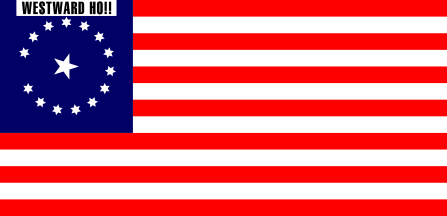 [Flag used by Henry A. Crabb during his 1854 invasion to Mexico]