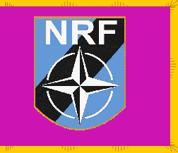 [NATO Response Force]