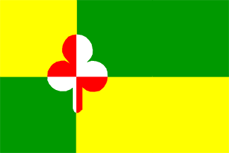 [Tzum village flag]