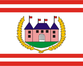 [19th century flag]