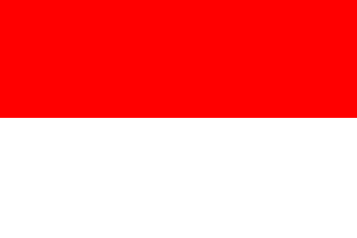 [Leiden 1938 flag]