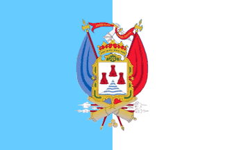 Vertical diband - Puno city flag