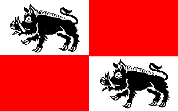 [Mieroszow City flag]