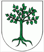 [Kruszwica coat of arms]