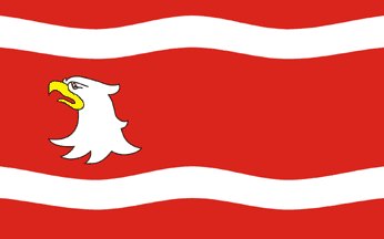 [Międzyrzecz county flag]