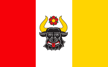 [Zwierzyn rural district flag]