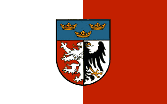 [Pabianice county flag]