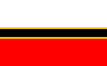 [Rawa Mazowiecka county flag]