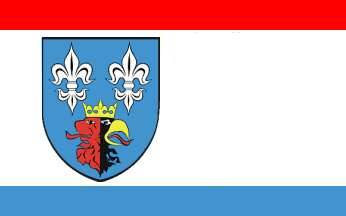 [Belchatów county official flag]