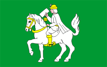 [Dzierzkowice commune flag]