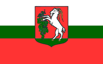 [Lublin ceremonial flag]