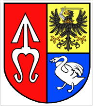 [Chlewiska coat of arms]