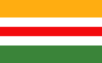 [Wyszków county flag]