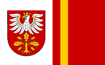 [Dąbrowa county flag]