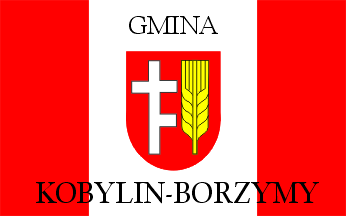 [Kobylin-Borzymy ceremonial flag]