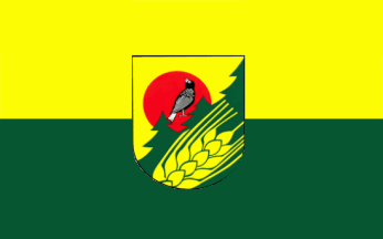 [Skórcz rural district flag]