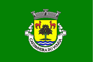 [Castanheira do Vouga commune (until 2013)]
