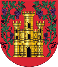 [Castelo de Vide municipality CoA]