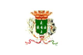 [Funchal municipality white 1919-1936]