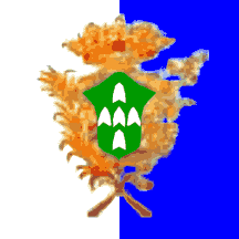 [Funchal municipality b/w bicolour]