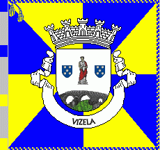 [Vizela municipality]