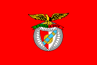 Benfica flag