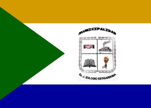 Juan Eulogio Estigarribia District flag