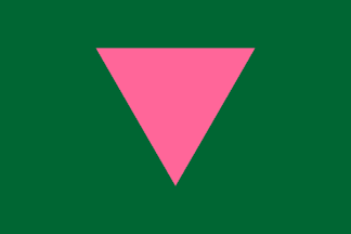 [Triangle flag]