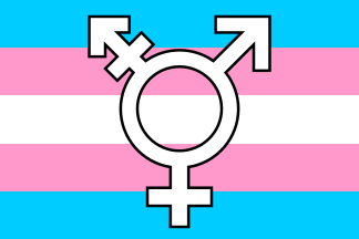[Monica Helms' transgender flag variant]