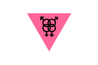 [Transgender Nation transgender flag]