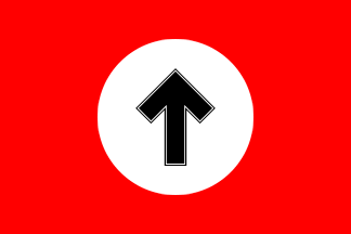 Tiwaz rune Neo-Nazi flag