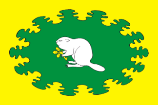 Flag of Albus-Syurbeevskoe