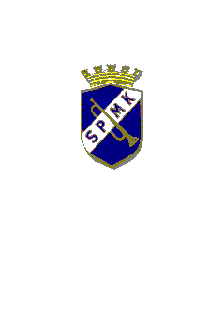 [Flag of the Stockholm Police Music Corps]