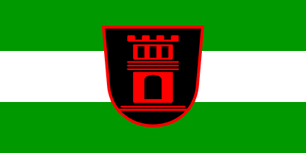 [Flag of Crnomelj]