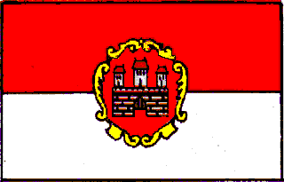 [19th century Bratislava flag]
