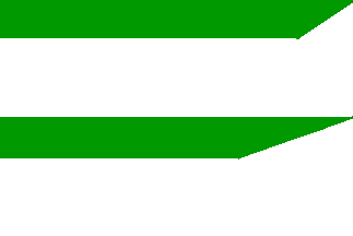 [Holice flag]