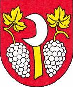 [Borová coat of arms]