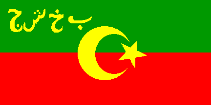 Flag of Bukharian PSR in 1920