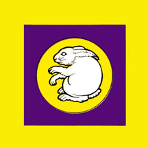 [Chanthaburi Region Scouting Flag (Thailand)]