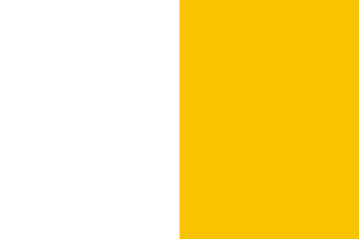[white and yellow]