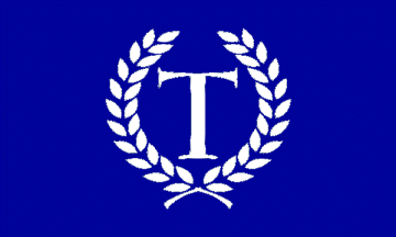 [TowneBank flag]