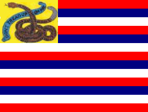 [Sullivan's Life Guards flag]