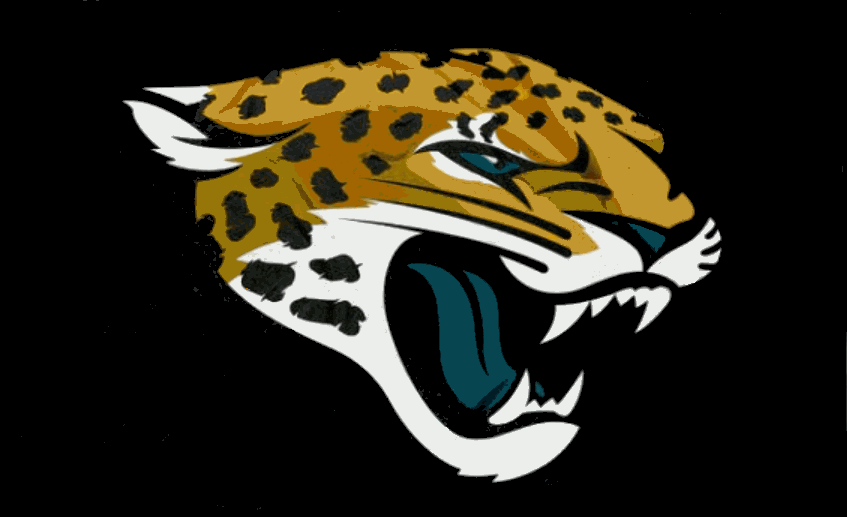 Jacksonville Jaguars flag