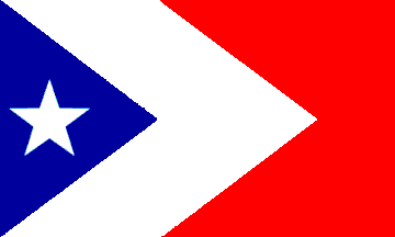 [Vexillological Association of the State of Texas flag]